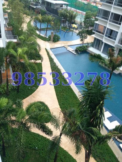 Waterfront Key (D16), Condominium #67082682